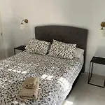 Oasis *