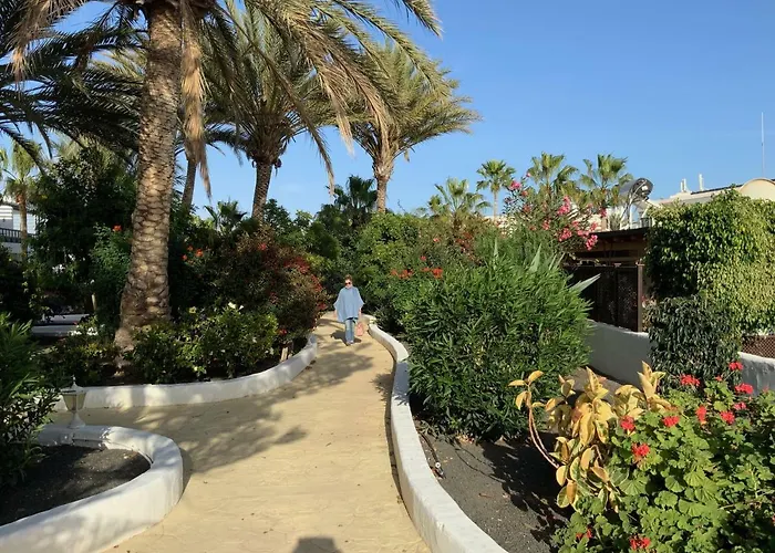 Oasis * Puerto del Carmen (Lanzarote)